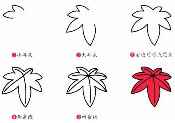 How to draw maple leaves