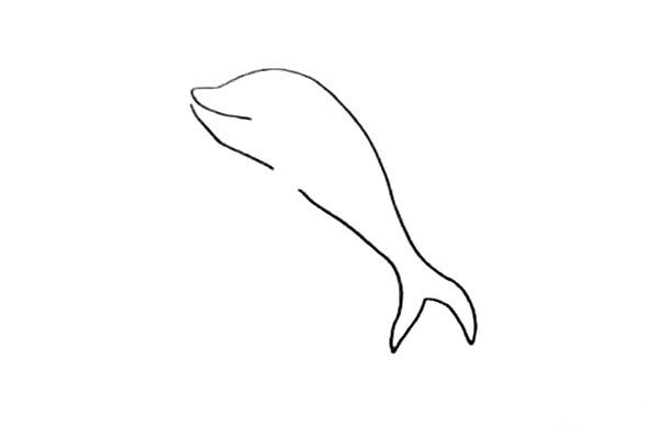 How to draw a dolphin