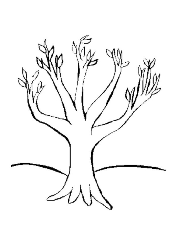 Simple drawing of a big tree with new leaves in spring