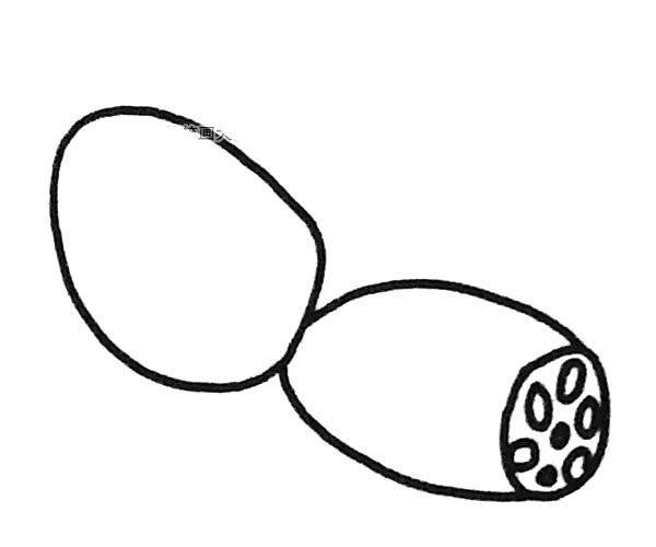 6 simple drawing pictures of lotus root