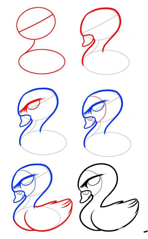 Step by step drawing of little swan