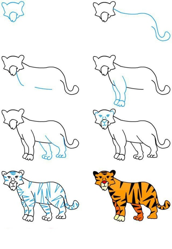 How to draw a leopard