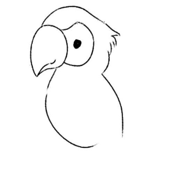 Smart parrot simple drawing tutorial