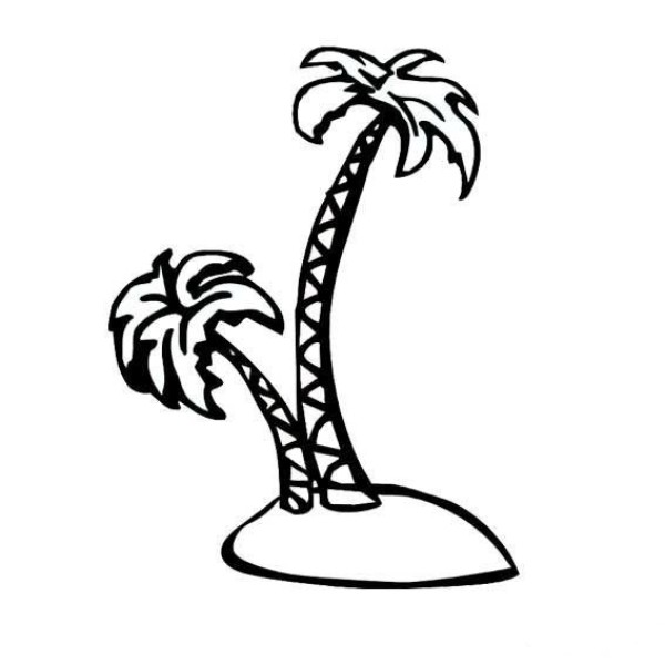 Complete collection of simple plant drawings, simple drawing pictures of coconut trees