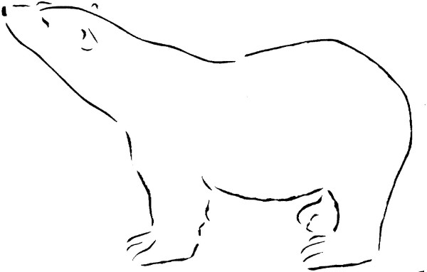 How to draw polar bear outline