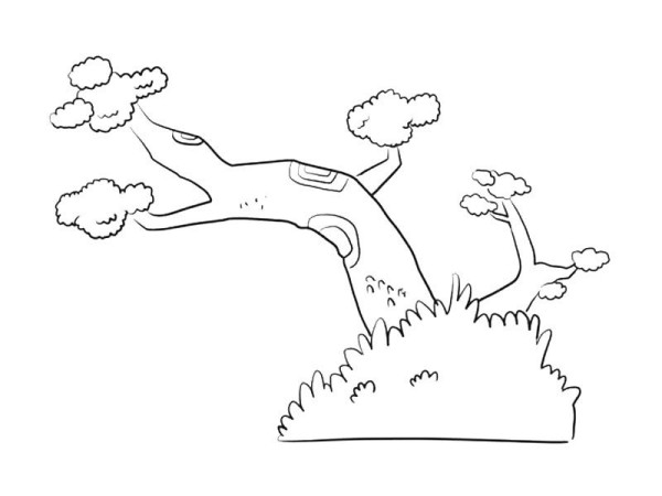 Simple drawing of weird pine tree