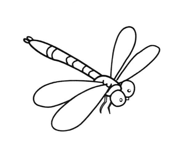 Simple strokes of dragonfly pictures