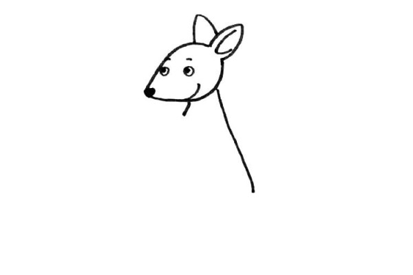 cute kangaroo