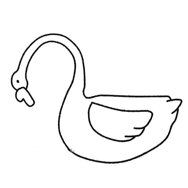 Four simple drawing pictures of swans