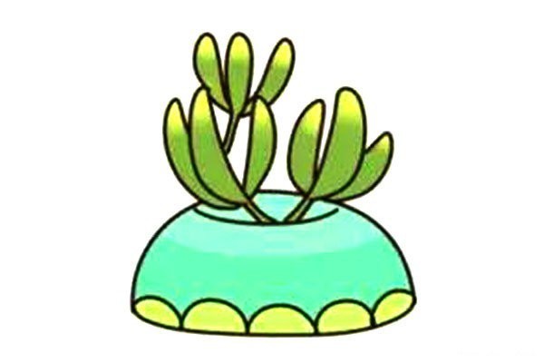 Beautiful succulents simple drawing 6