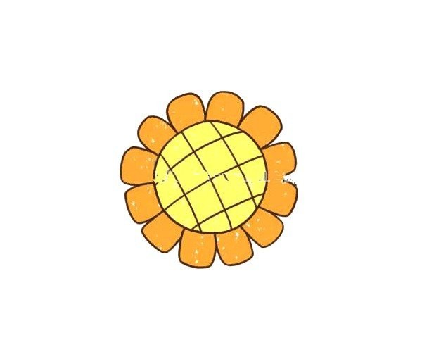 Simple drawing of sunflower petals