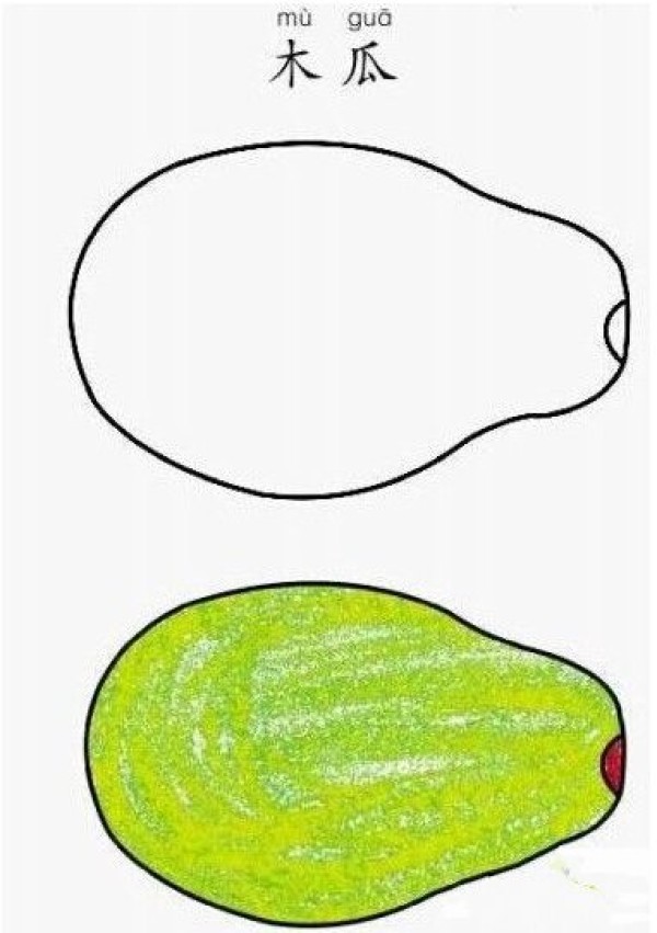 Simple drawing pictures of papaya