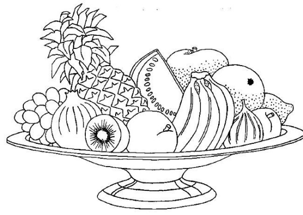 Complete collection of simple drawings of fruits, simple drawings of fruit plate and fruit basket