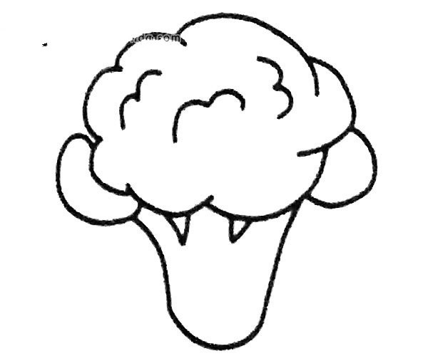 Learn to draw broccoli in four steps