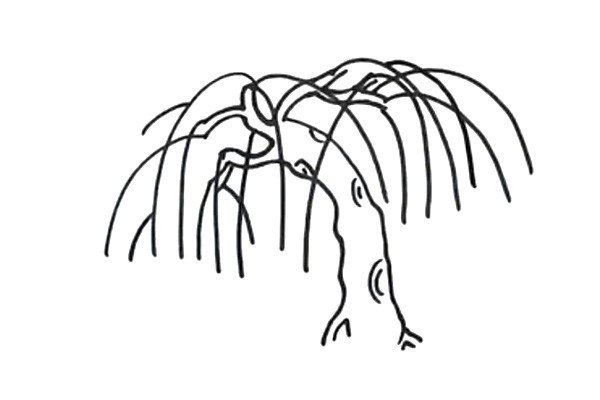 How to draw a willow tree in simple strokes