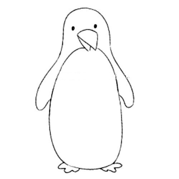 animal drawing penguin