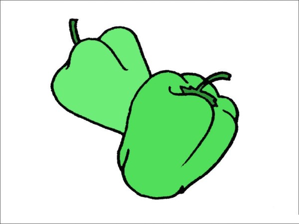 Green pepper simple strokes drawing steps