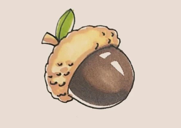 Simple drawing of acorn