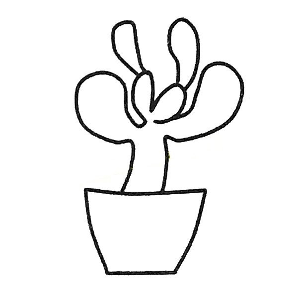 A set of simple drawing pictures of succulent plants