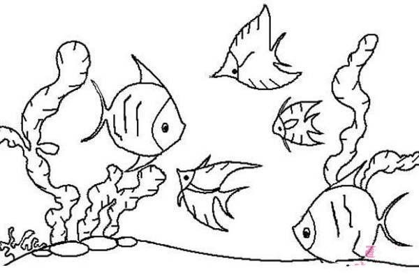 Childrens simple drawing pictures of beautiful ocean world