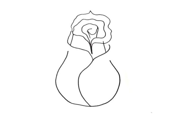 Draw beautiful pink roses in simple steps