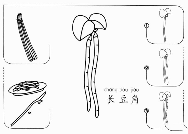 How to draw carob