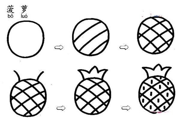 Step by step drawing of pineapple: How to draw pineapple