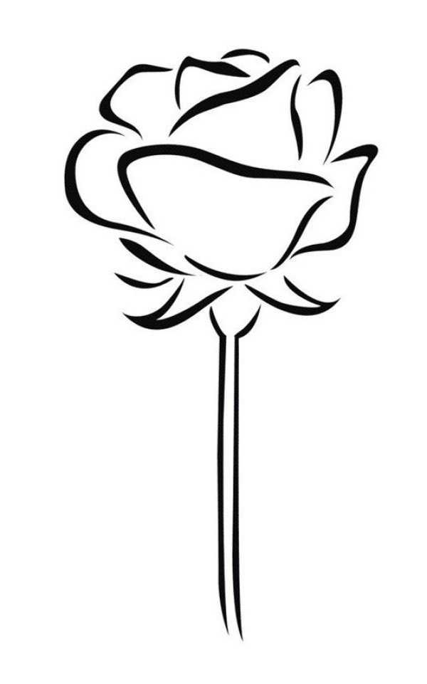 2016 Rose Flower Simple Drawing Steps Picture Collection