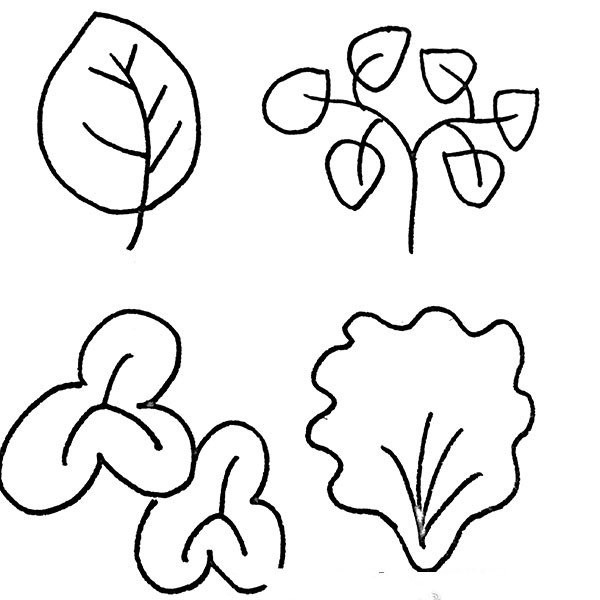 36 simple drawings of leaves