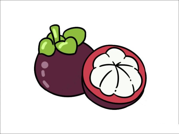 Simple strokes of mangosteen