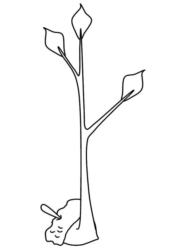 Simple drawing of a newly planted tree