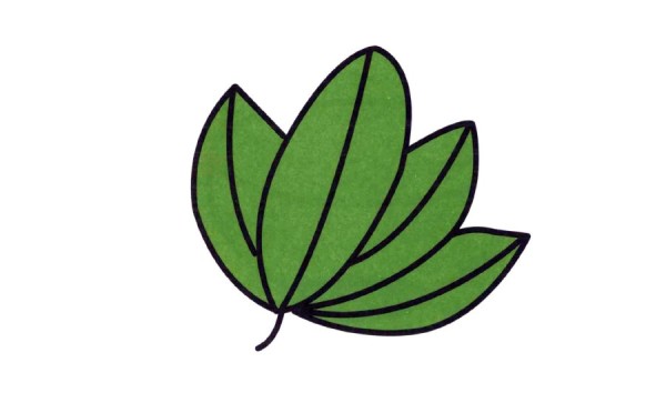 Beautiful leaf simple drawing