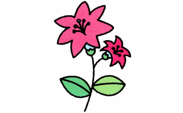 Detailed tutorial on how to draw lilies in simple strokes