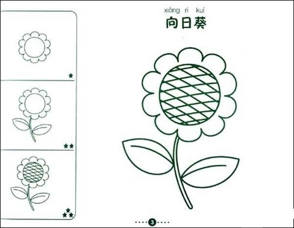 How to draw simple pictures of sunflowers for children