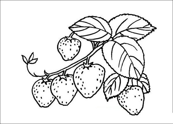 How to draw strawberries