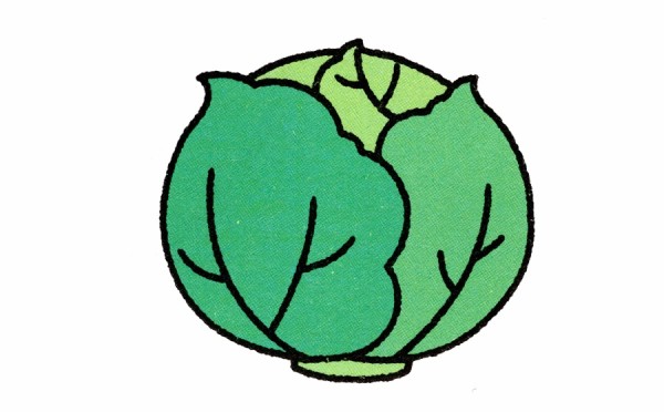 How to draw cabbage with simple strokes of vegetables