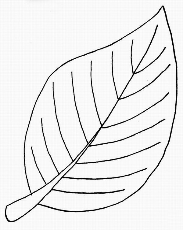 Simple strokes of leaves