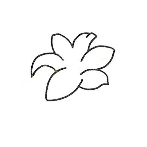 Learn to draw step by step: beautiful lilies