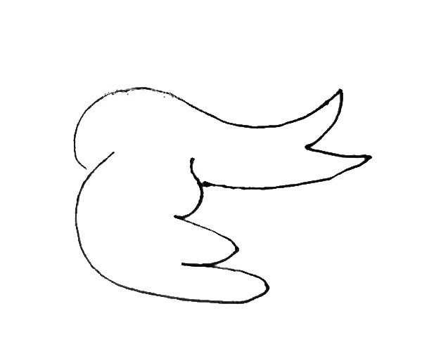 Learn to draw beautiful swallows