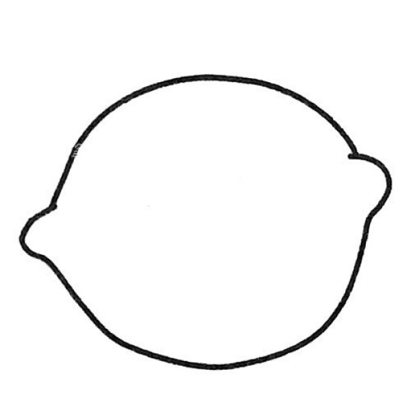 Lemon outline simple drawing picture