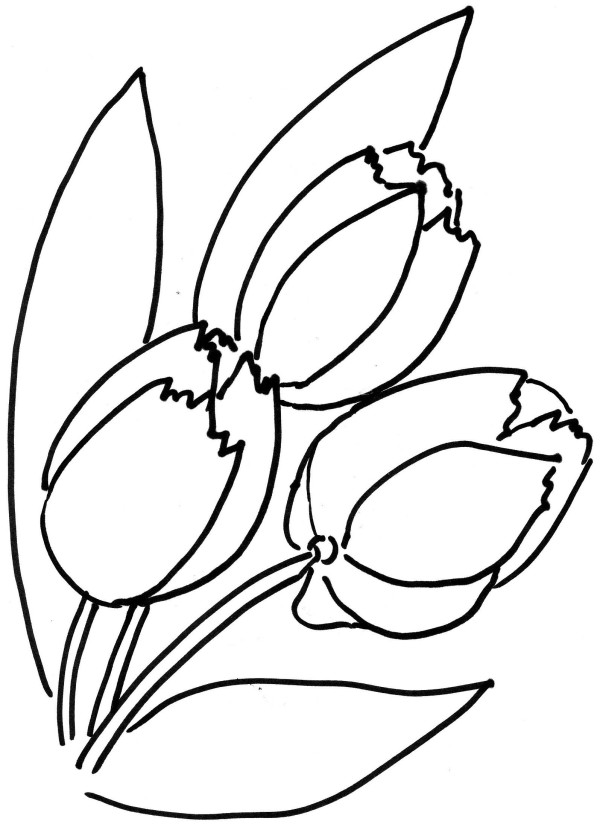 Simple drawing of flowers, complete collection of simple drawings of tulips