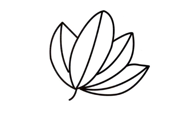 Simple drawing of beautiful leaves