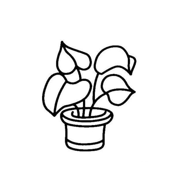 Realistic bonsai simple drawing