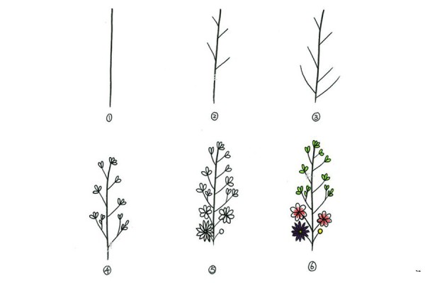 A set of simple drawing methods of beautiful small plants