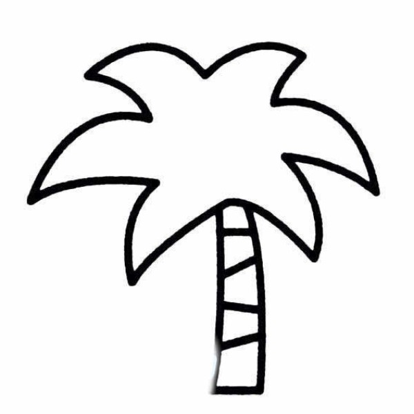 Simple drawing of coconut tree in midsummer