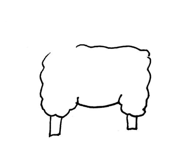 Learn to draw cute sheep