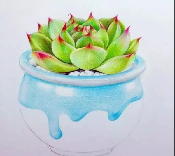 Colored lead painting~Teach you how to draw a combination of succulent flowers and pots!