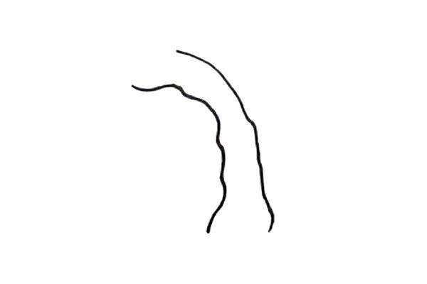 How to draw a willow tree in simple strokes