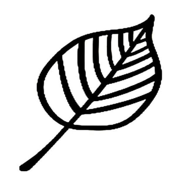 Easy to draw leaves