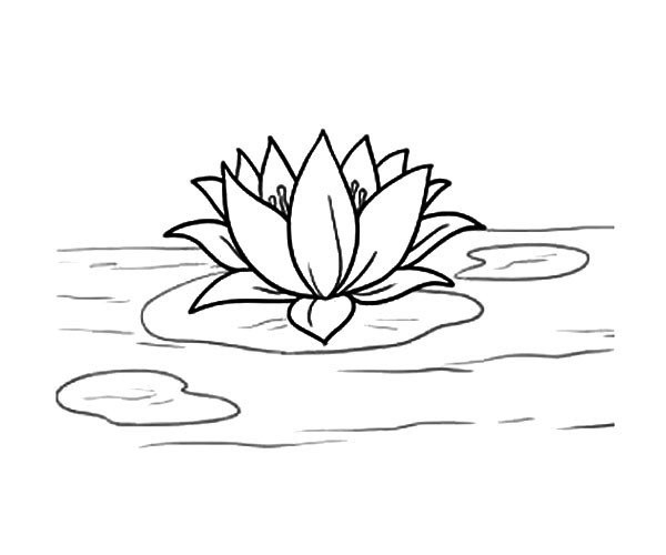 Simple drawing of lotus that is easy to learn